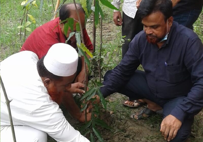 হিঙ্গুলা হাছানিয়া উচ্চ বিদ্যালয়